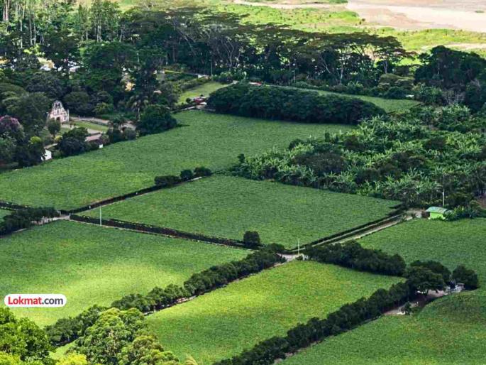 44% of land owned by 10% of the rich; 46% of families in rural areas are landless; landlords continue to dominate | १०% श्रीमंतांच्या ताब्यात ४४% जमीन; ग्रामीण भागात ४६% कुटुंबे भूमिहीन; जमीनदारांचे वर्चस्व 44% of land owned by 10% of the rich; 46% of families in rural areas are landless; landlords continue to dominate | १०% श्रीमंतांच्या ताब्यात ४४% जमीन; ग्रामीण भागात ४६% कुटुंबे भूमिहीन; जमीनदारांचे वर्चस्व