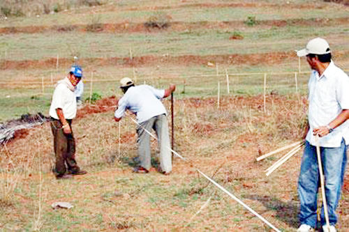 Big news; Five thousand counting cases pending in Solapur district due to lack of manpower | मोठी बातमी; कमी मनुष्यबळामुळे सोलापूर जिल्ह्यातील पाच हजार मोजणी प्रकरणे प्रलंबित Big news; Five thousand counting cases pending in Solapur district due to lack of manpower | मोठी बातमी; कमी मनुष्यबळामुळे सोलापूर जिल्ह्यातील पाच हजार मोजणी प्रकरणे प्रलंबित