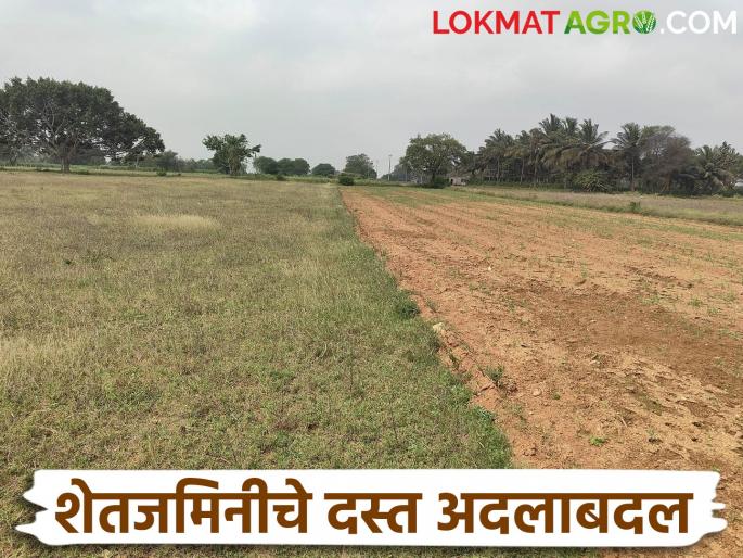 The long standing dispute over agricultural land will now be resolved, a new option has come for exchanging land record documents; read in detail | शेतजमिनीचे वर्षानुवर्षे चाललेले वाद आता मिटणार, दस्त अदलाबदलीसाठी आला हा पर्याय; वाचा सविस्तर The long standing dispute over agricultural land will now be resolved, a new option has come for exchanging land record documents; read in detail | शेतजमिनीचे वर्षानुवर्षे चाललेले वाद आता मिटणार, दस्त अदलाबदलीसाठी आला हा पर्याय; वाचा सविस्तर