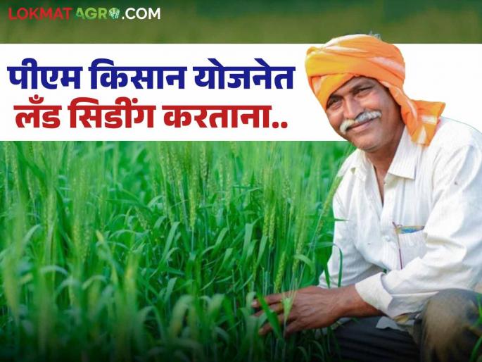 Latest News How is land seeding done in PM Kisan Yojana Know in detail | PM Kisan Land Seeding : पीएम किसान योजनेत जमिनीची नोंद नसल्यास काय होईल? जाणून घ्या सविस्तर  Latest News How is land seeding done in PM Kisan Yojana Know in detail | PM Kisan Land Seeding : पीएम किसान योजनेत जमिनीची नोंद नसल्यास काय होईल? जाणून घ्या सविस्तर