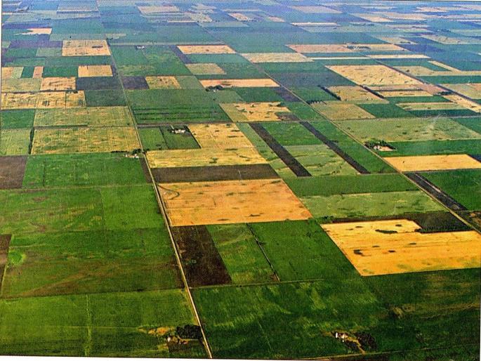 After 60 years, it was known who owns that 160,000 acres of land; Allocation of donated land | ६० वर्षांनंतर कळाले, ती १ लाख ६० हजार एकर जमीन कोणाची; दान केलेल्या जमिनीचे होणार वाटप