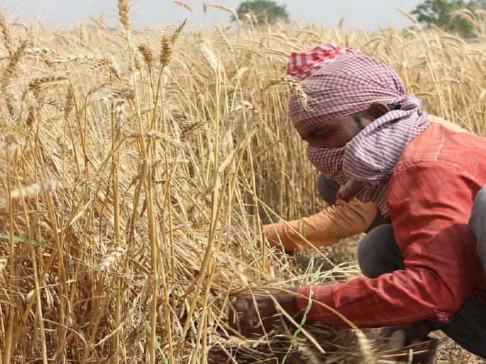 3000 rupees per month pension for landless farm laborers, where to apply? | भूमिहीन शेतमजुरांसाठी मिळणार दरमहिना ३००० रुपये पेन्शन, कुठे कराल अर्ज ? 3000 rupees per month pension for landless farm laborers, where to apply? | भूमिहीन शेतमजुरांसाठी मिळणार दरमहिना ३००० रुपये पेन्शन, कुठे कराल अर्ज ?