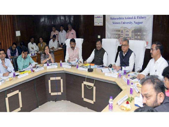 Cluster to be developed for fish seed production in Vidarbha - Sudhir Mungantiwar | विदर्भात मत्स्यबीज उत्पादनासाठी क्लस्टर विकसित होणार; सुधीर मुनगंटीवार Cluster to be developed for fish seed production in Vidarbha - Sudhir Mungantiwar | विदर्भात मत्स्यबीज उत्पादनासाठी क्लस्टर विकसित होणार; सुधीर मुनगंटीवार