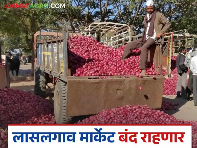 Latest News Lasalgaon Kanda market will remain closed until the end of March see details | Lasalgaon Kanda Market : मार्च अखेरमुळे लासलगाव मार्केट राहणार बंद, 'हे' लिलाव सुरु राहतील! Latest News Lasalgaon Kanda market will remain closed until the end of March see details | Lasalgaon Kanda Market : मार्च अखेरमुळे लासलगाव मार्केट राहणार बंद, 'हे' लिलाव सुरु राहतील!
