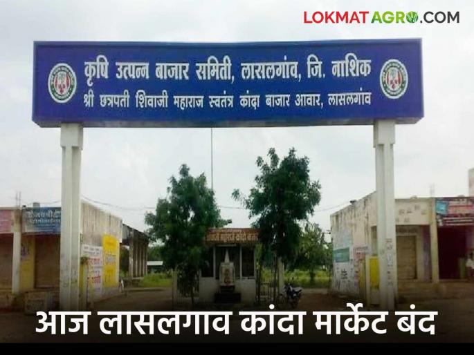 Latest News Assembly election voting today, Lasalgaon market onion auction closed  | Assembly Election : आज विधानसभा निवडणूक मतदान, लासलगाव मार्केटला कांदा लिलाव बंद  Latest News Assembly election voting today, Lasalgaon market onion auction closed  | Assembly Election : आज विधानसभा निवडणूक मतदान, लासलगाव मार्केटला कांदा लिलाव बंद
