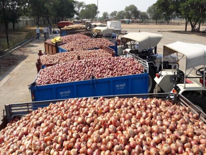 Nashik : onion price rate collapsed due to drought, farmers in trouble | कांद्याचा वांधा संपेना ! Nashik : onion price rate collapsed due to drought, farmers in trouble | कांद्याचा वांधा संपेना !