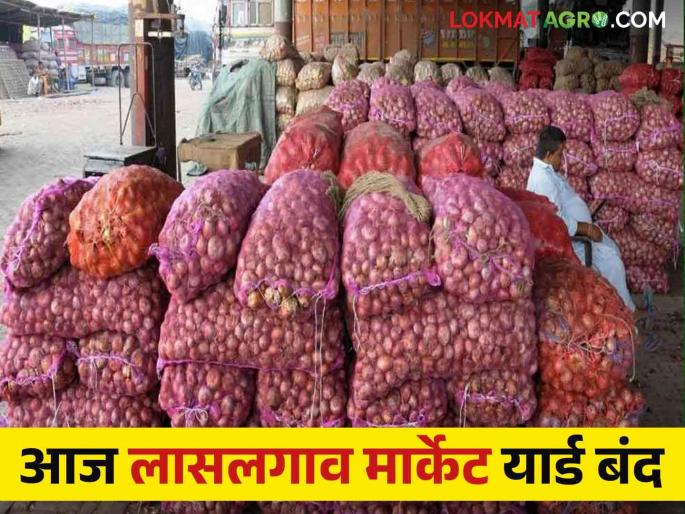 Latest news Agriculture News Lasalgaon onion market will be closed today, read in detail  | Lasalgaon Onion Market : आज लासलगाव कांदा मार्केट बंद राहणार, वाचा सविस्तर 