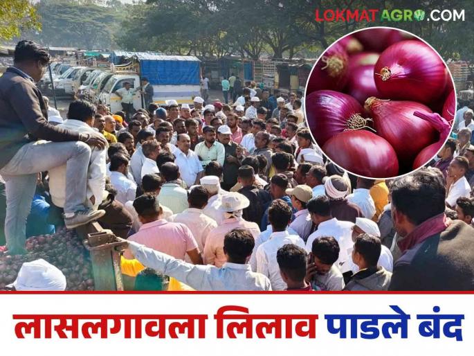 Latest News Kanda Andolan Red onion prices down, auction closed at Lasalgaon Market yard, read in detail | Kanda Andolan : लाल कांदा दरात घसरण, लासलगाव बाजार समितीत लिलाव पाडले बंद, वाचा सविस्तर 