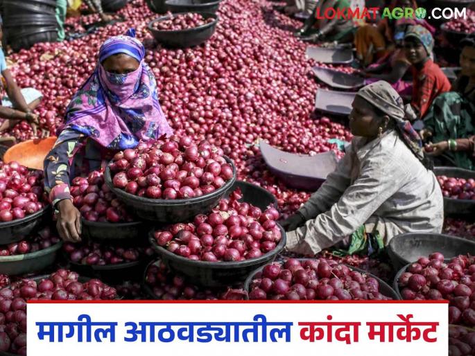 Latest News Weekly Kanda Market How did onion arrival and market prices last week Read in detail | Weekly Kanda Market : मागील आठवड्यात कांद्याची आवक कशी झाली, दर काय होते? वाचा सविस्तर Latest News Weekly Kanda Market How did onion arrival and market prices last week Read in detail | Weekly Kanda Market : मागील आठवड्यात कांद्याची आवक कशी झाली, दर काय होते? वाचा सविस्तर