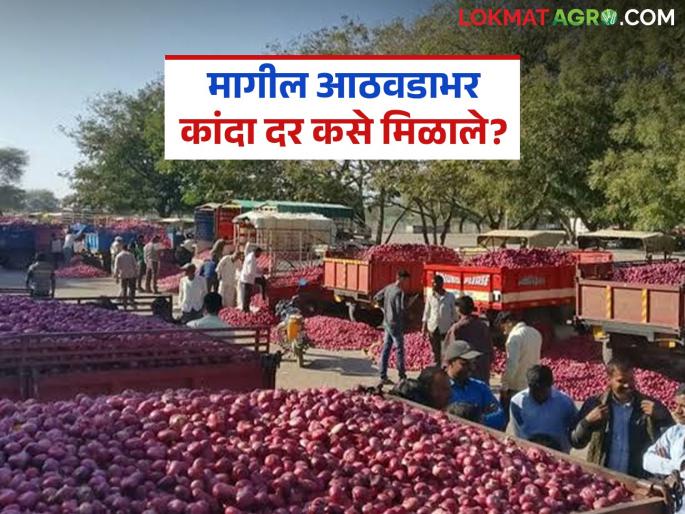 Latest News Kanda Market see onion market prices in Lasalgaon, Solapur kanda market last week | Kanda Market : लासलगाव, सोलापूर कांदा बाजारात मागील आठवड्यात काय दर मिळाले?
