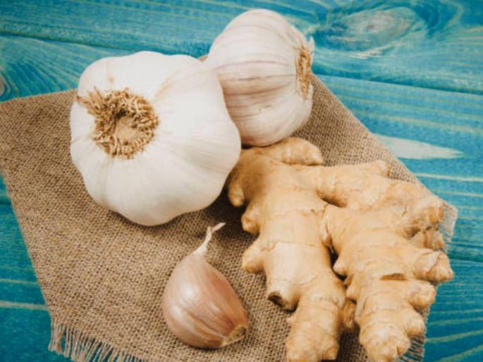 garlic ginger and other vegetable prices risen up becomes expensive as low productivity | लसणाची फोडणी महागली, आल्याचा भाव दोनशेंवर, उत्पादन घटल्याने दरात वाढ garlic ginger and other vegetable prices risen up becomes expensive as low productivity | लसणाची फोडणी महागली, आल्याचा भाव दोनशेंवर, उत्पादन घटल्याने दरात वाढ