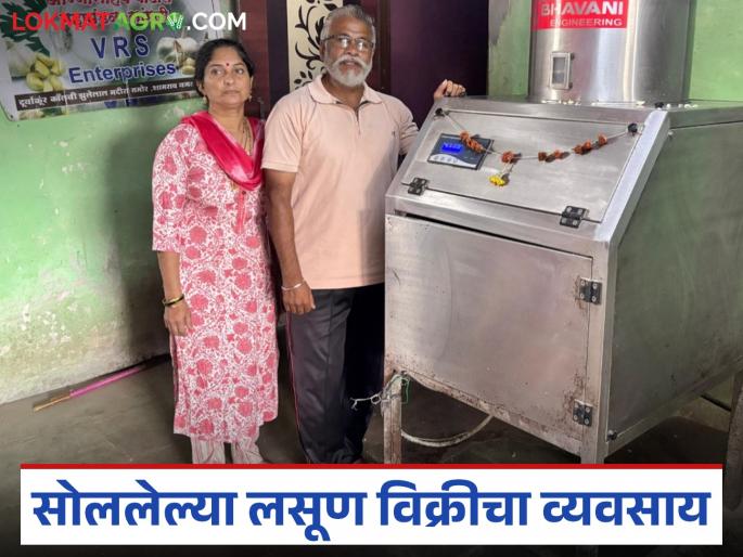 Latest news Farmer Success Story Vijay Rangrao Shinde of Sangli's peeled garlic selling business | सांगलीचे शिंदे दाम्पत्य करतंय सोललेल्या लसणाची विक्री, महिन्याला करतात लाखोंची कमाई
