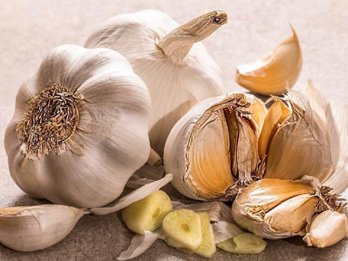 Price of garlic 400 par, country garlic has become rare common people's household budget has deteriorated | लसणाचे दर ४०० पार, देशी लसूण झाला दुर्मीळ; सर्वसामान्यांचे बिघडले घरचे बजेट Price of garlic 400 par, country garlic has become rare common people's household budget has deteriorated | लसणाचे दर ४०० पार, देशी लसूण झाला दुर्मीळ; सर्वसामान्यांचे बिघडले घरचे बजेट