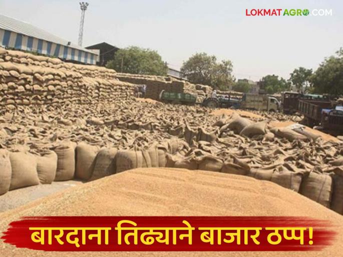 latest news Latur APMC: Farmers' goods stuck for three days due to Bardana drought Read in detail | Latur APMC : बारदाना तिढ्याने शेतकऱ्यांचा माल तीन दिवसांपासून अडकला वाचा सविस्तर