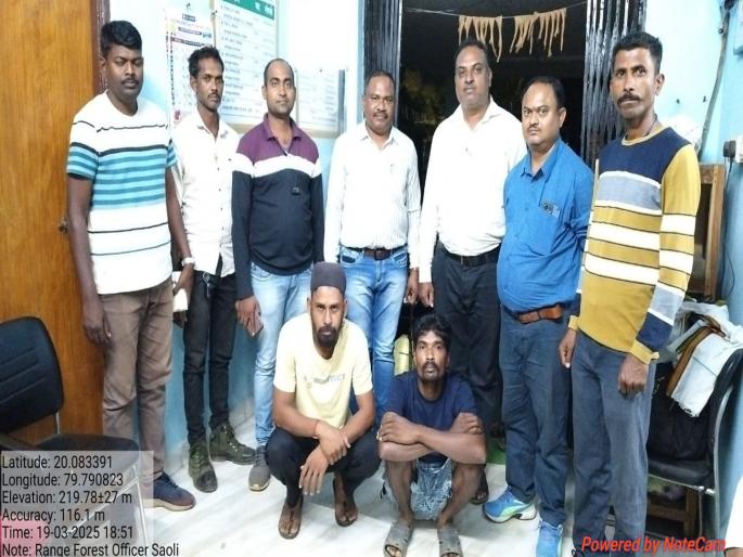 The accused, who had been swindling the forest department was arrested at Chandrapur | वनविभागाची सिनेस्टाईल कारवाई; गुराखी, शेतकऱ्याचा पेहराव घेऊन आरोपीला ठोकल्या बेड्या The accused, who had been swindling the forest department was arrested at Chandrapur | वनविभागाची सिनेस्टाईल कारवाई; गुराखी, शेतकऱ्याचा पेहराव घेऊन आरोपीला ठोकल्या बेड्या