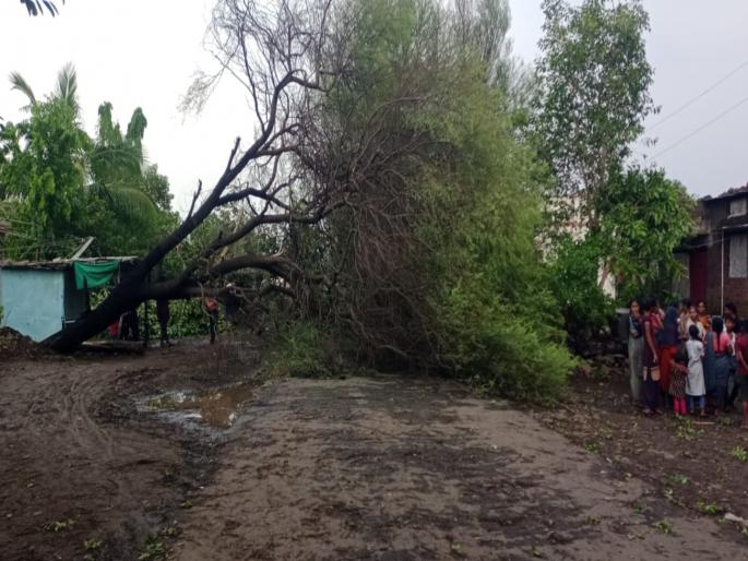 Latur Two farmers were killed on the spot due to lightning in Mahalangi | लातुरच्या महाळंगीत वीज पडून दोन शेतकरी जागीच ठार Latur Two farmers were killed on the spot due to lightning in Mahalangi | लातुरच्या महाळंगीत वीज पडून दोन शेतकरी जागीच ठार