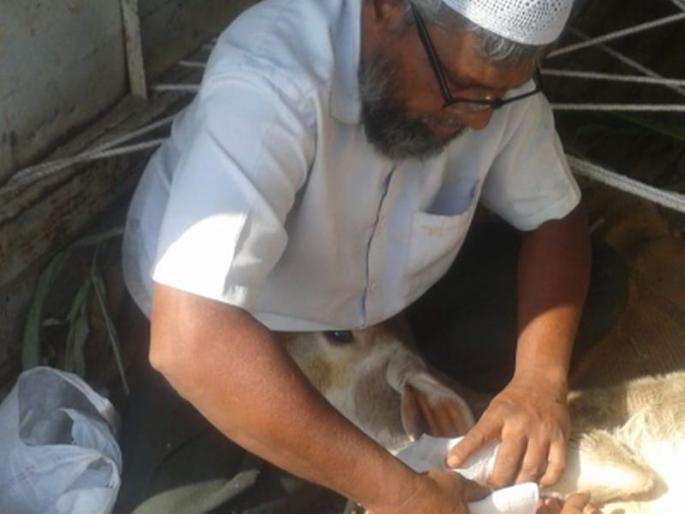 How will i get goodness when i feeding from your money to animals? | बेजुबान को आपके पैसेसे खिलाऊंगा तो पुण्य कैसे मिलेगा?