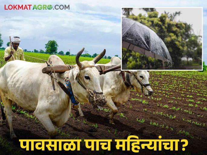 Rabi Perani : The rain does not stop; The rabbi can not be cultivated! | Rabi Perani : पाऊस थांबता थांबेना; रब्बीची मशागत करता येईना !