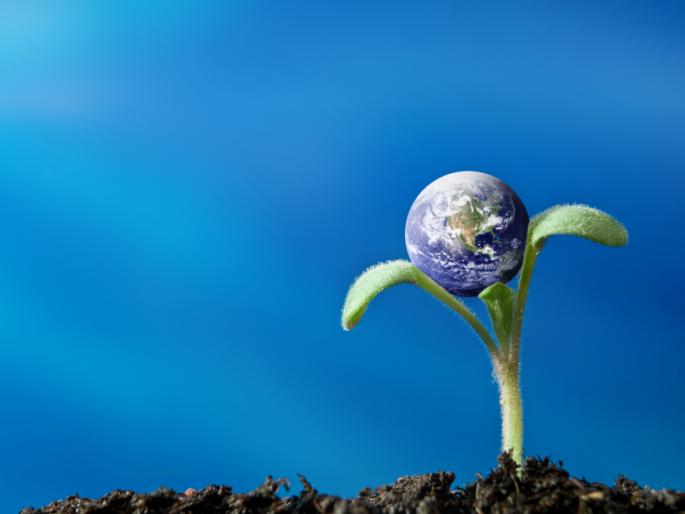 meet a environmental lawyer | कायद्यावर बोट ठेवणारा पर्यावरणाचा वकील meet a environmental lawyer | कायद्यावर बोट ठेवणारा पर्यावरणाचा वकील