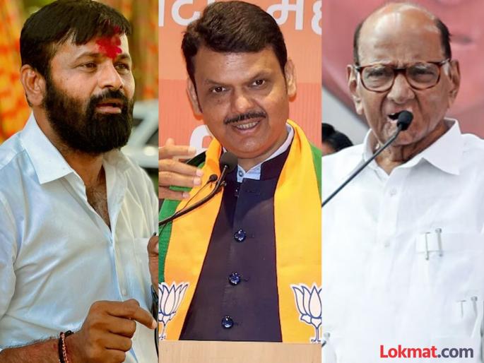 maharashtra assembly vidhan sabha election 2024 laxman hake praised devendra fadnavis and criticized sharad pawar over reservation issue | “देवेंद्र फडणवीसांची क्षमता पाहा, भाजपाला मतदान करु पण तुतारीला नाही”: लक्ष्मण हाके maharashtra assembly vidhan sabha election 2024 laxman hake praised devendra fadnavis and criticized sharad pawar over reservation issue | “देवेंद्र फडणवीसांची क्षमता पाहा, भाजपाला मतदान करु पण तुतारीला नाही”: लक्ष्मण हाके