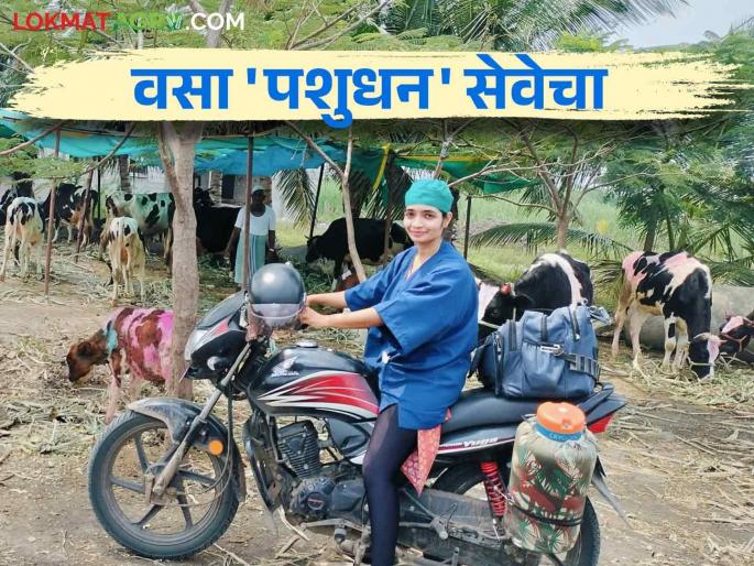 A female veterinarian who travels 80 to 90 kilometers daily on a two-wheeler and gives life to farmers' livestock | दुचाकीवर दररोज ८० ते ९० किलोमीटरचा प्रवास करत शेतकऱ्यांच्या पशुधनास जीवदान देणारी महिला पशुवैद्यक A female veterinarian who travels 80 to 90 kilometers daily on a two-wheeler and gives life to farmers' livestock | दुचाकीवर दररोज ८० ते ९० किलोमीटरचा प्रवास करत शेतकऱ्यांच्या पशुधनास जीवदान देणारी महिला पशुवैद्यक