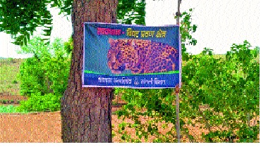 In the valley of the wax | मेणी खोऱ्यात बिबट्याचा वावर - वन विभागाने लावले फलक जागोजागी