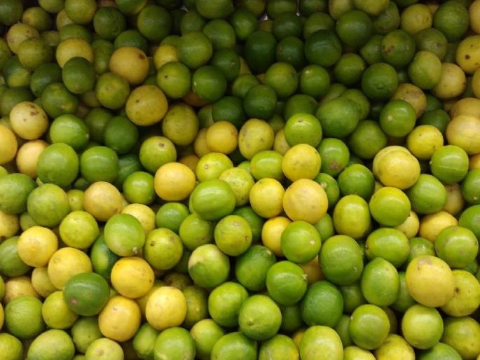 Vegetable prices also increased with the summer; Lemons cost Rs 15 each; Guava is more expensive than petrol | उन्हात थंडाव्यासाठी छत्रपती संभाजीनगरात हैदराबादची लिंबू, पण किंमत १५ रुपयांत एक Vegetable prices also increased with the summer; Lemons cost Rs 15 each; Guava is more expensive than petrol | उन्हात थंडाव्यासाठी छत्रपती संभाजीनगरात हैदराबादची लिंबू, पण किंमत १५ रुपयांत एक