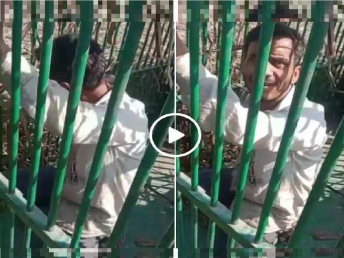 man trapped in leopard cage in bulandshehar, Watch Video... | चारा म्हणून ठेवलेला कोंबडा चोरायला गेला आणि बिबट्याच्या पिंजऱ्यात अडकला; पाहा Video... man trapped in leopard cage in bulandshehar, Watch Video... | चारा म्हणून ठेवलेला कोंबडा चोरायला गेला आणि बिबट्याच्या पिंजऱ्यात अडकला; पाहा Video...