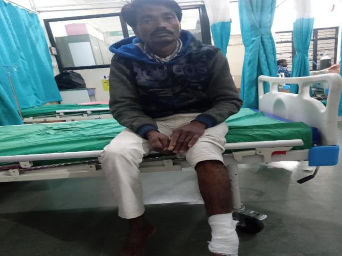 A leopard attack on a young man riding a bicycle Young man injured in ambegaon | leopard attack on young man: दुचाकीवर चाललेल्या तरुणावर बिबट्याचा हल्ला; तरुण जखमी A leopard attack on a young man riding a bicycle Young man injured in ambegaon | leopard attack on young man: दुचाकीवर चाललेल्या तरुणावर बिबट्याचा हल्ला; तरुण जखमी