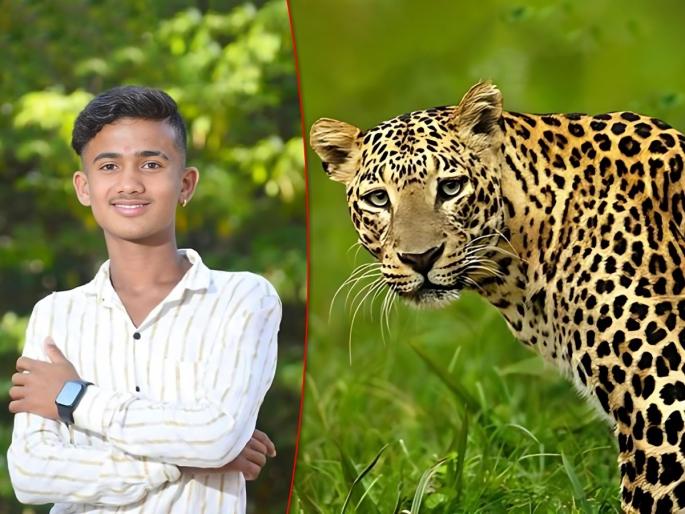 12th student dies in leopard attack; The last paper was given four days ago | Pune | बिबट्याच्या हल्ल्यात बारावीच्या विद्यार्थ्याचा मृत्यू; ४ दिवसांपूर्वीच दिला होता शेवटचा पेपर 12th student dies in leopard attack; The last paper was given four days ago | Pune | बिबट्याच्या हल्ल्यात बारावीच्या विद्यार्थ्याचा मृत्यू; ४ दिवसांपूर्वीच दिला होता शेवटचा पेपर