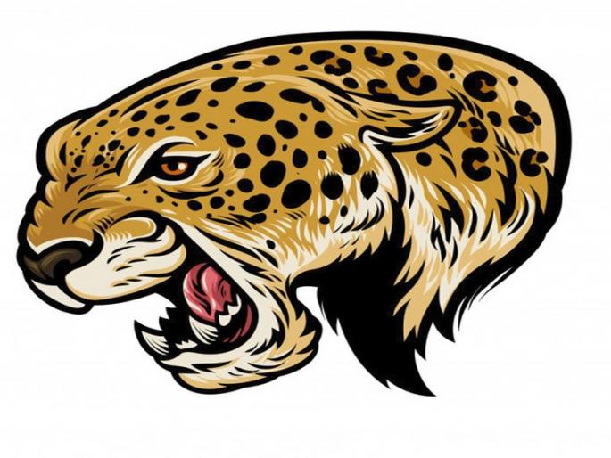 Leopard attacks a child in Chehdi village | सुदैवाने प्राण वाचले : चेहडी शिवारात बिबट्याचा मुलावर हल्ला Leopard attacks a child in Chehdi village | सुदैवाने प्राण वाचले : चेहडी शिवारात बिबट्याचा मुलावर हल्ला