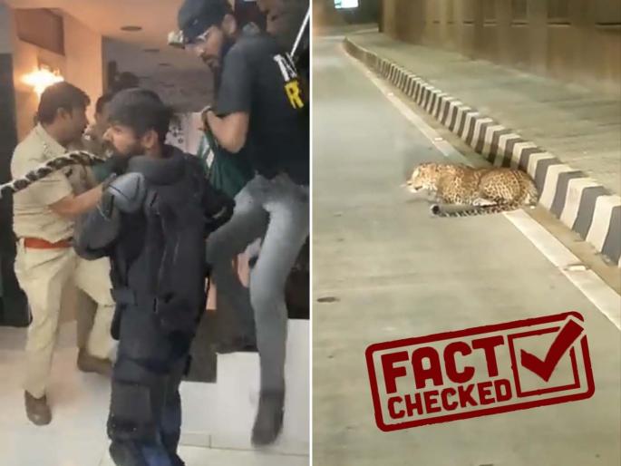 'Those' leopard videos are not from Chhatrapati Sambhajinagar; Old videos viral, confusion among citizens | बिबट्याचे 'ते' व्हिडीओ छत्रपती संभाजीनगरचे नाहीत; जुने व्हिडीओ व्हायरल, नागरिकांत संभ्रम 'Those' leopard videos are not from Chhatrapati Sambhajinagar; Old videos viral, confusion among citizens | बिबट्याचे 'ते' व्हिडीओ छत्रपती संभाजीनगरचे नाहीत; जुने व्हिडीओ व्हायरल, नागरिकांत संभ्रम