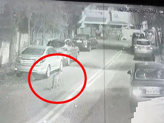 Now there is a leopard threat in Mumbai too A leopard is seen in a MHADA bungalow in Dindoshi | आता मुंबईतही बिबट्याची दहशत! दिंडोशी म्हाडाच्या बंगल्यात बिबट्याचा संचार