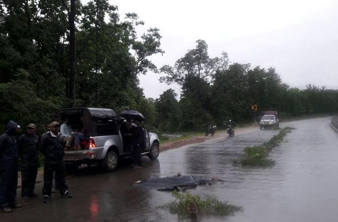 On Nagpur- Jabalpur highway leopard killed in accident | नागपूर - जबलपूर महामार्गावर वाहनाच्या धडकेत बिबट्या ठार