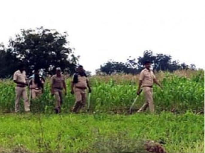 'The leopard was seen'; Corona followed by leopard terror that threats civilians | 'बिबट्या दिसला रे दिसला'; कोरोना पाठोपाठ बिबट्याच्या दहशतीने नागरिकांचा जीव टांगणीला 'The leopard was seen'; Corona followed by leopard terror that threats civilians | 'बिबट्या दिसला रे दिसला'; कोरोना पाठोपाठ बिबट्याच्या दहशतीने नागरिकांचा जीव टांगणीला