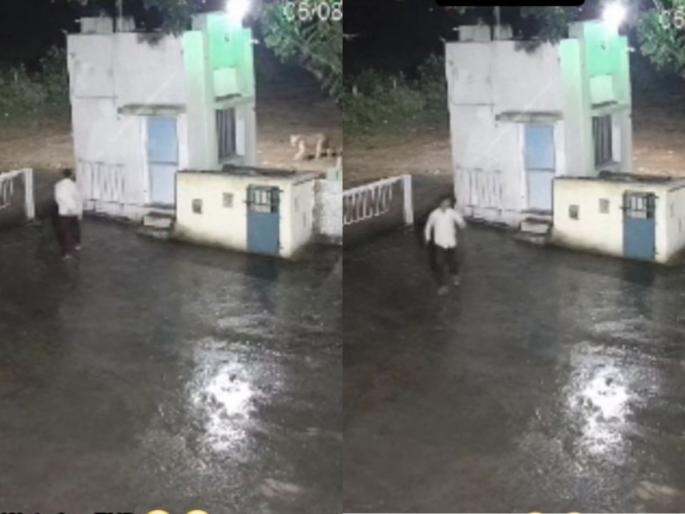 Viral Video: Went out to use the toilet at midnight, suddenly a leopard appeared in front of me, what happened next... | Viral Video: मध्यरात्री शौचालयासाठी बाहेर पडला, अचानक समोर दिसला बिबट्या, पहारेकरीसोबत असं घडलं की...