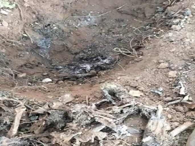 Killing of a leopard in Kharawate in Ratnagiri After about fifteen days, the case was revealed | Ratnagiri- फासकीत अडकून बिबटयाचा मृत्यू, गुरख्यांनी परस्पर लावली विल्हेवाट; तब्बल पंधरा दिवसांनी उघडकीस आला प्रकार Killing of a leopard in Kharawate in Ratnagiri After about fifteen days, the case was revealed | Ratnagiri- फासकीत अडकून बिबटयाचा मृत्यू, गुरख्यांनी परस्पर लावली विल्हेवाट; तब्बल पंधरा दिवसांनी उघडकीस आला प्रकार