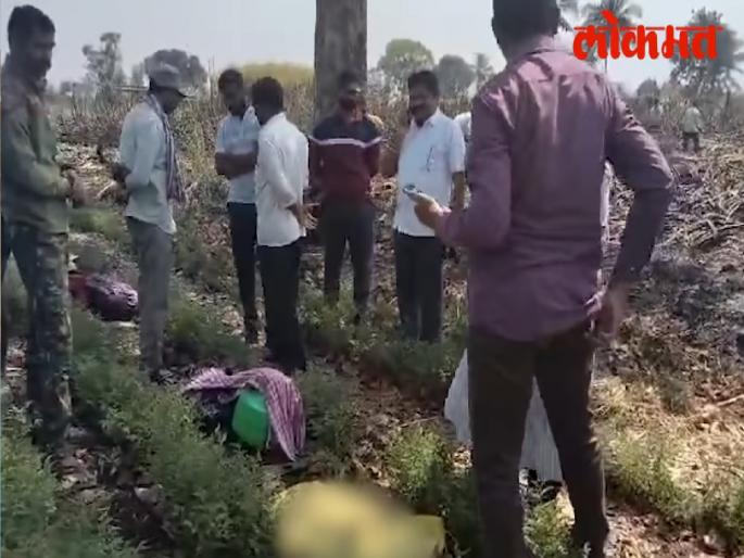 a leopard calf died in a sugarcane field fire In Nagaon kolhapur | Kolhapur: उसाचा फड पेटवला, आगीत होरपळून बिबट्याच्या बछड्याचा मृत्यू झाला a leopard calf died in a sugarcane field fire In Nagaon kolhapur | Kolhapur: उसाचा फड पेटवला, आगीत होरपळून बिबट्याच्या बछड्याचा मृत्यू झाला