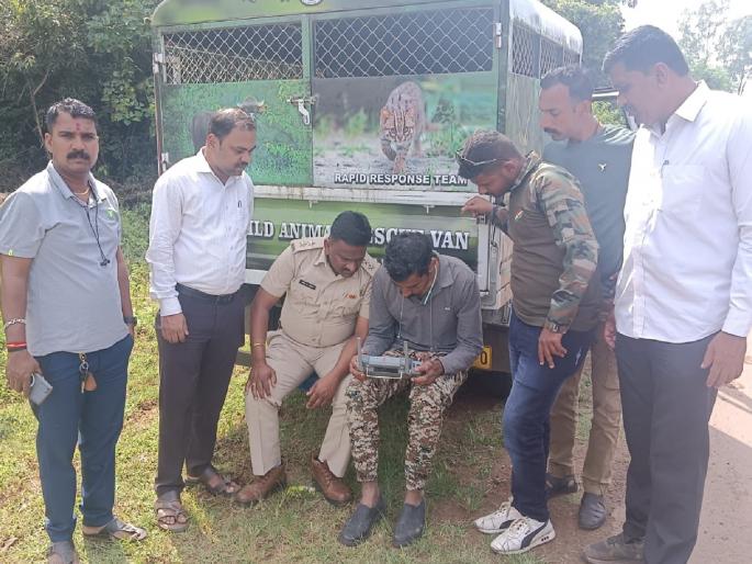 Stray leopard cub attacks people one injured in Kolhapur; Search operation using drone | Kolhapur: बिथरलेल्या बिबट्याच्या बछड्याचा लोकांवर हल्ला, एकजण जखमी; ड्रोनद्वारे शोध मोहीम Stray leopard cub attacks people one injured in Kolhapur; Search operation using drone | Kolhapur: बिथरलेल्या बिबट्याच्या बछड्याचा लोकांवर हल्ला, एकजण जखमी; ड्रोनद्वारे शोध मोहीम