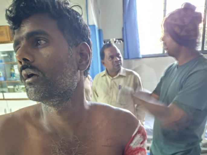 A leopard attacked a farmer who went to water the crop in the field at dharashiv | शेतात पिकाला पाणी देण्यासाठी गेलेल्या शेतकऱ्यावर बिबट्याचा हल्ला  A leopard attacked a farmer who went to water the crop in the field at dharashiv | शेतात पिकाला पाणी देण्यासाठी गेलेल्या शेतकऱ्यावर बिबट्याचा हल्ला