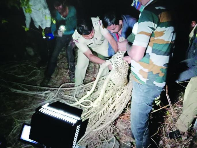 Barshitakali forest reserve gave life to the leopard lying in the well! | बार्शीटाकळी वनपरिक्षेत्र विहिरीत पडलेल्या बिबट्याला दिले जीवनदान! Barshitakali forest reserve gave life to the leopard lying in the well! | बार्शीटाकळी वनपरिक्षेत्र विहिरीत पडलेल्या बिबट्याला दिले जीवनदान!