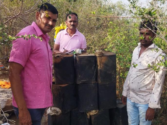 Mohagul was burned in 22 containers, the hand furnace was destroyed | २२ डब्यांत मोहगूळ सडवा, हातभट्टी केली उद्ध्वस्त Mohagul was burned in 22 containers, the hand furnace was destroyed | २२ डब्यांत मोहगूळ सडवा, हातभट्टी केली उद्ध्वस्त