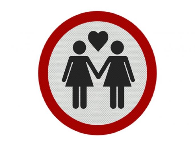 'Sairat' lesbian lovers return home due to the police alert | 'सैराट' लेस्बियन प्रेमींची पोलिसांच्या सतर्कतेमुळे घर वापसी