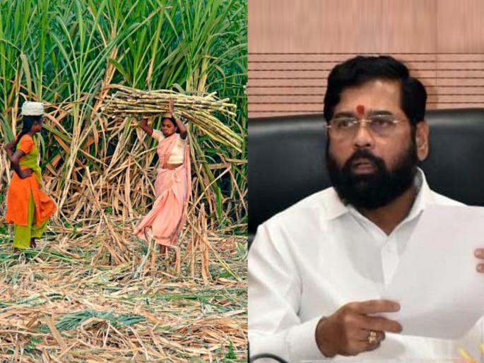 sugarcane cutting women workers open letter to chief minister eknath shinde | भाऊ, आमच्याकडं वावर पन न्हाय अन् पावर पन न्हाय! sugarcane cutting women workers open letter to chief minister eknath shinde | भाऊ, आमच्याकडं वावर पन न्हाय अन् पावर पन न्हाय!