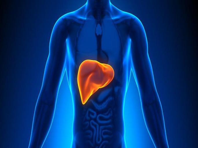Health: Do you have fatty liver? | Health: तुमचं लिव्हर फॅटी आहे का? Health: Do you have fatty liver? | Health: तुमचं लिव्हर फॅटी आहे का?
