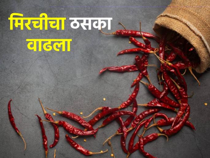 market yard: Local chilli prices in Mumbai are highest since last week | Market Yard: मुंबईत लोकल मिरचीला मागील आठवडाभरापासून सर्वाधिक भाव market yard: Local chilli prices in Mumbai are highest since last week | Market Yard: मुंबईत लोकल मिरचीला मागील आठवडाभरापासून सर्वाधिक भाव