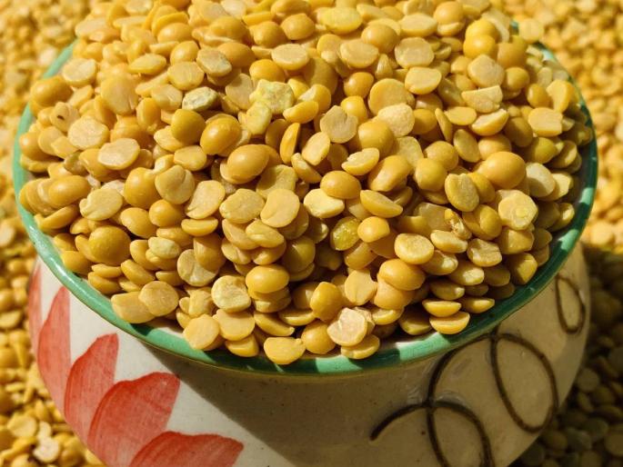 22 thousand 977 quintals of turi arrived in the state today, know the price. | राज्यात आज २२ हजार ९७७ क्विंटल तुरीची आवक, जाणून घ्या काय मिळाला भाव.. 22 thousand 977 quintals of turi arrived in the state today, know the price. | राज्यात आज २२ हजार ९७७ क्विंटल तुरीची आवक, जाणून घ्या काय मिळाला भाव..