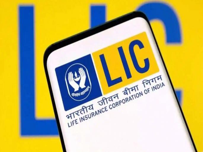 LIC suffers huge loss rs 46000 crore loss in July RIL made huge loss know details | LIC ला जबरदस्त नुकसान! जुलैमध्ये ₹४६,००० कोटी बुडाले; RIL मुळे सर्वाधिक फटका