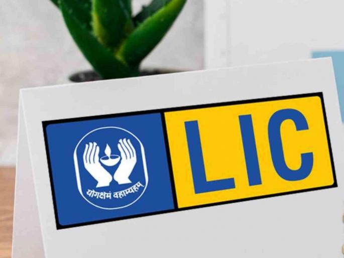 LIC became the eighth largest company in the country, now behind only SBI among public sector companies | LIC बनली देशातील आठवी सर्वात मोठी कंपनी, आता सरकारी कंपन्यांमध्ये फक्त SBI च्या मागे