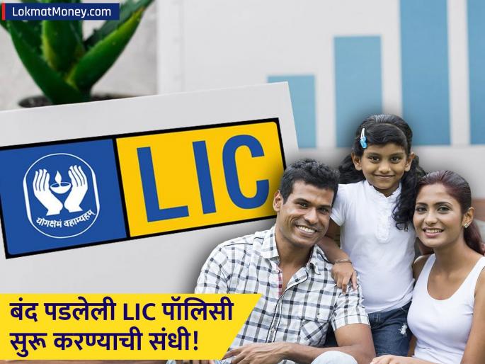 LIC Launches Special Campaign to Revive Lapsed Insurance Policies | LIC ची मोठी घोषणा! बंद पडलेल्या पॉलिसी पुन्हा सुरू करण्याची सुवर्णसंधी; विलंब शुल्कातही मोठी सूट